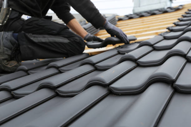 Best Roof Maintenance and Cleaning  in , OH